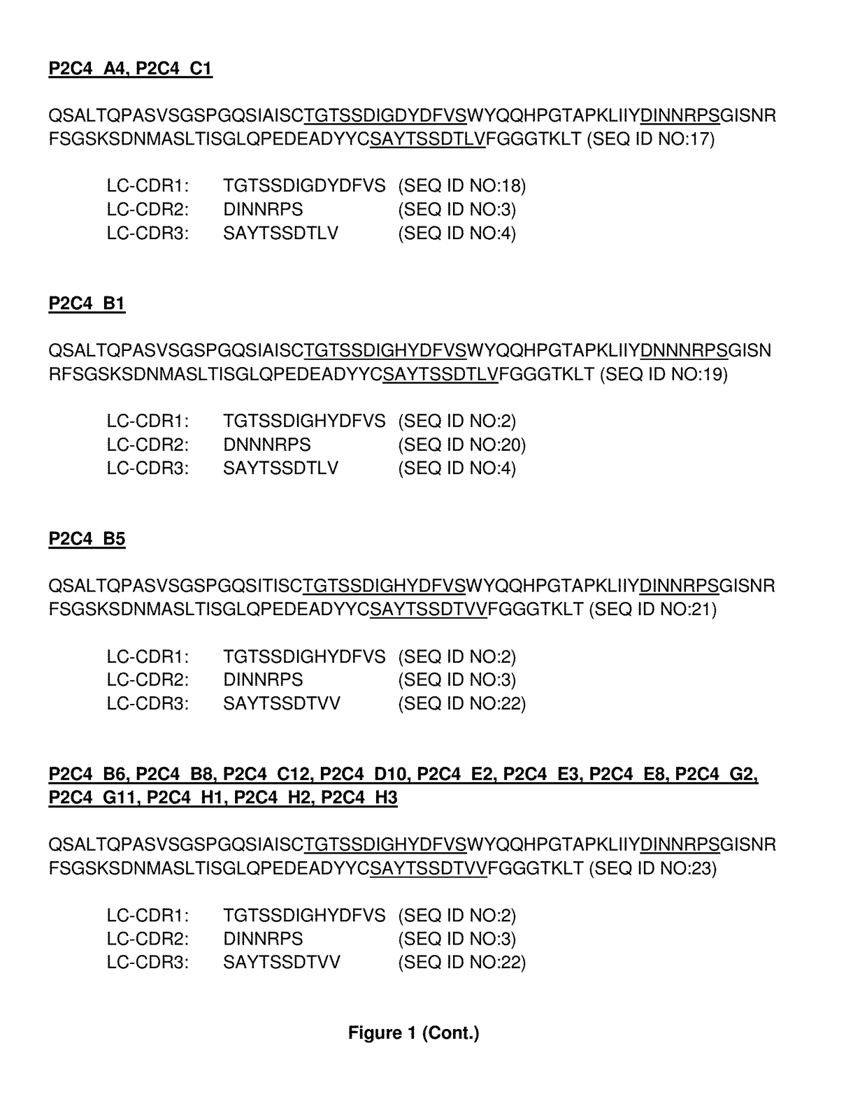 Il2rbeta/common gamma chain antibodies