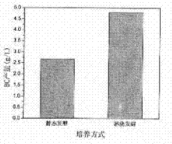 New method for producing bacterial cellulose