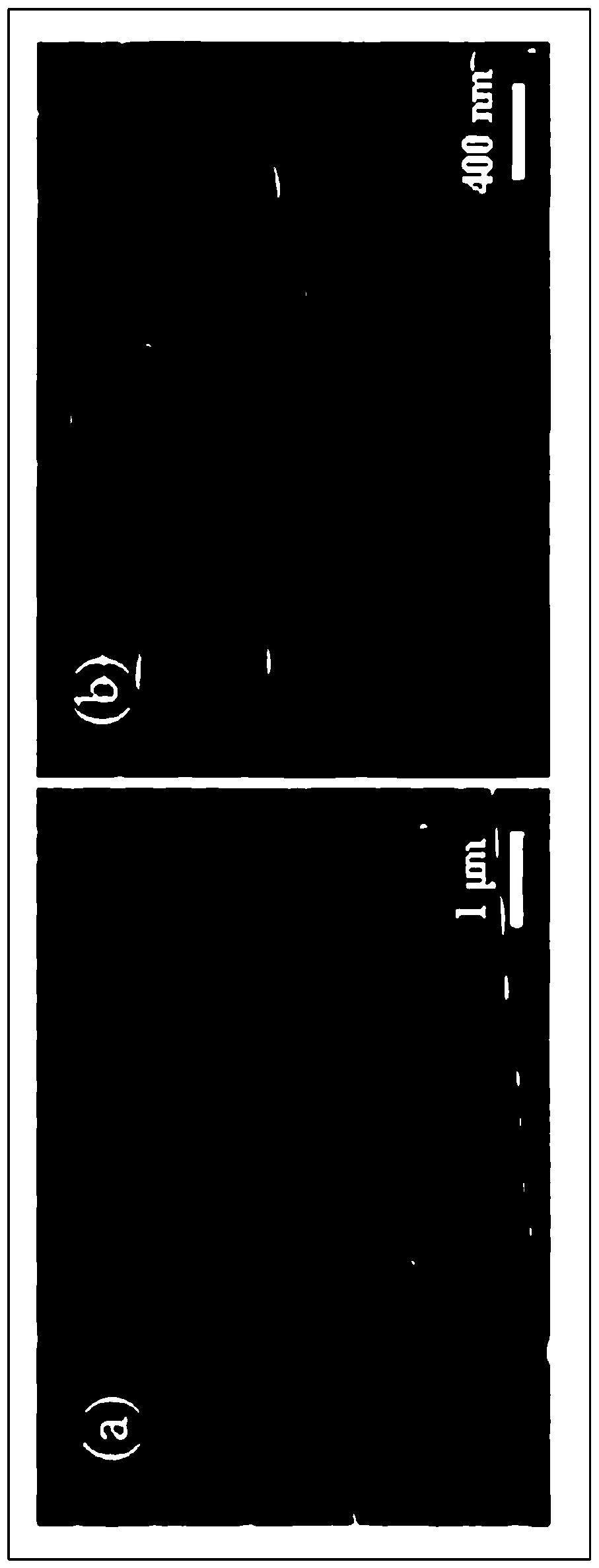 Lithium ion battery silicon/carbon negative electrode composite material and preparation method thereof