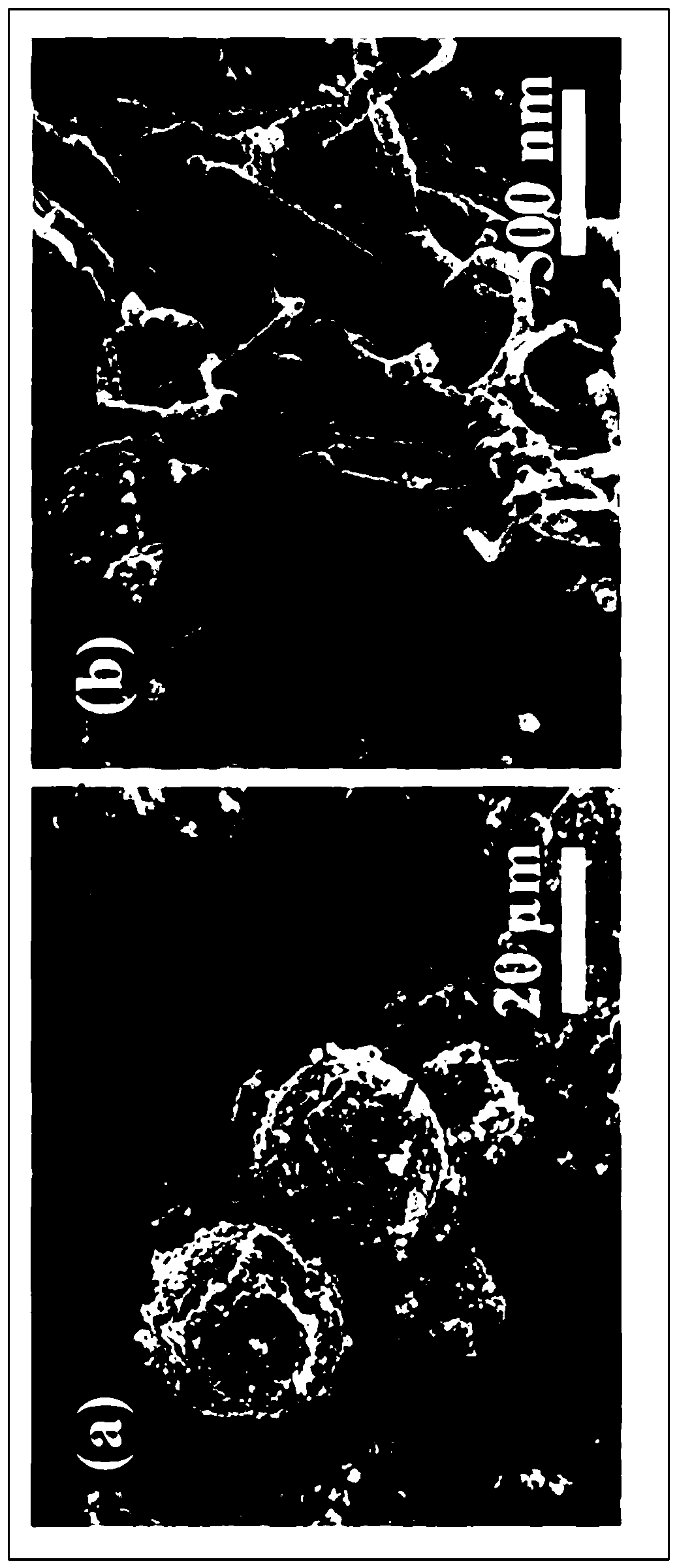 Lithium ion battery silicon/carbon negative electrode composite material and preparation method thereof