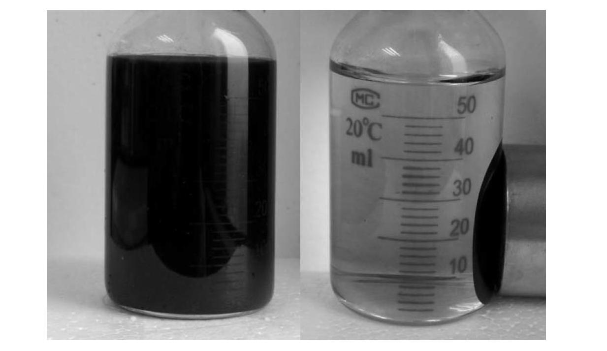 Nanometer magnetic iron oxide and preparation method and application thereof