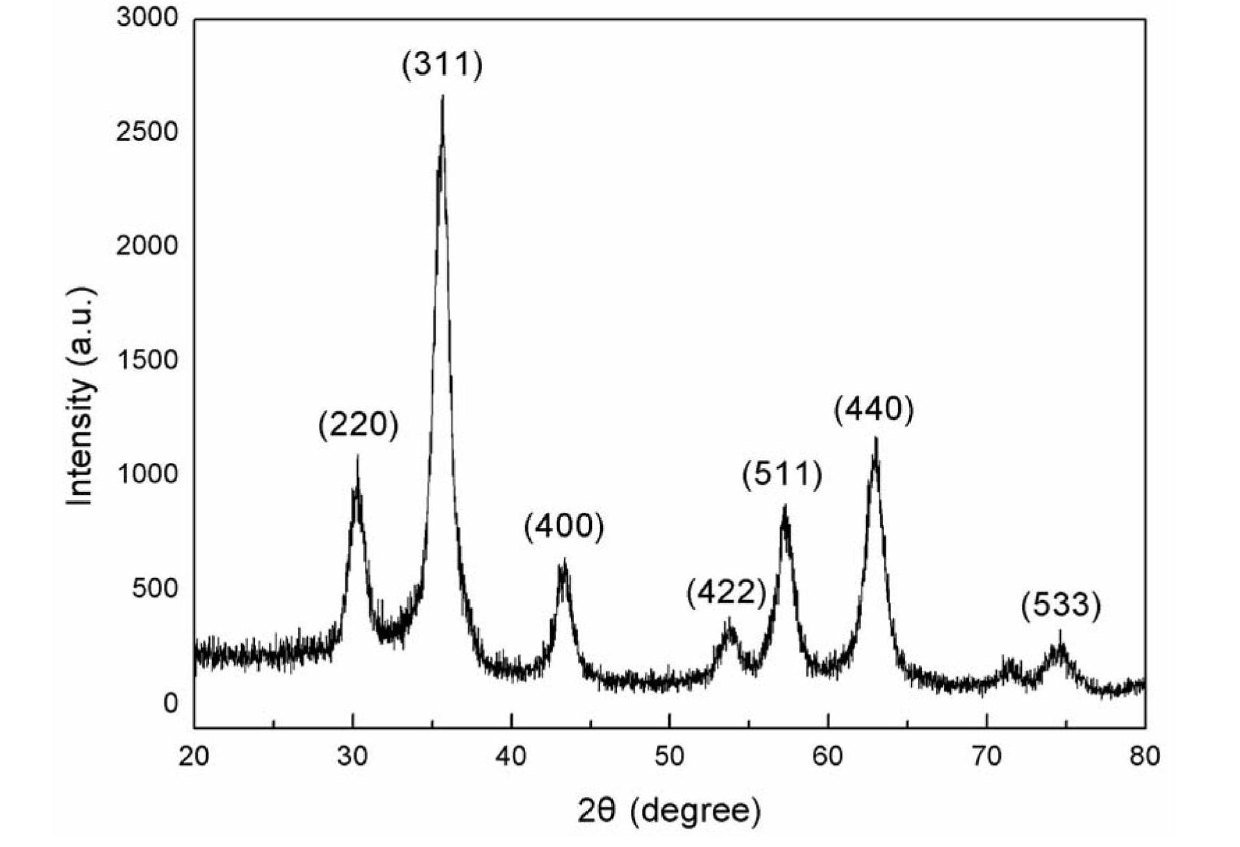 Nanometer magnetic iron oxide and preparation method and application thereof