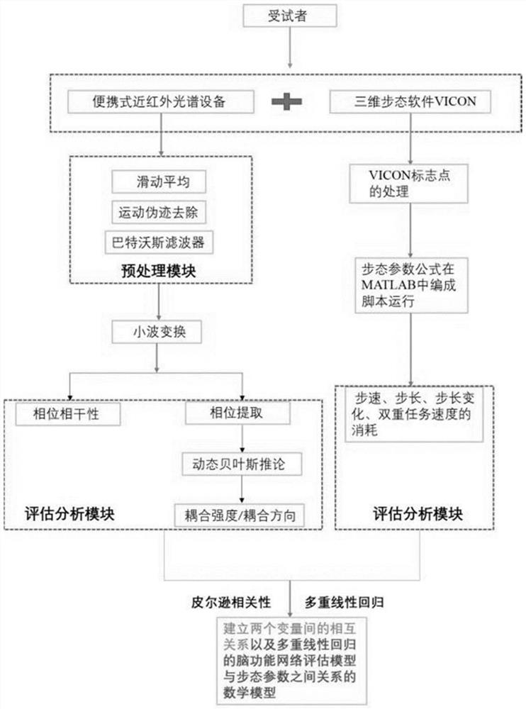 Evaluation method and system based on near-infrared brain functions and gait parameters