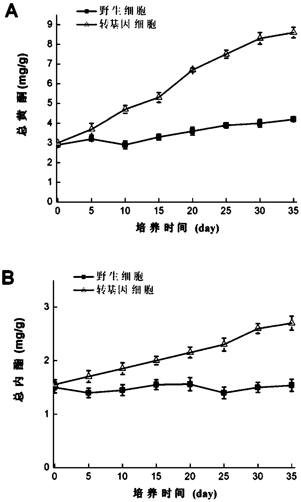 Application of plant NIA1 gene in increasing content of flavone and content of lactone of ginkgoes