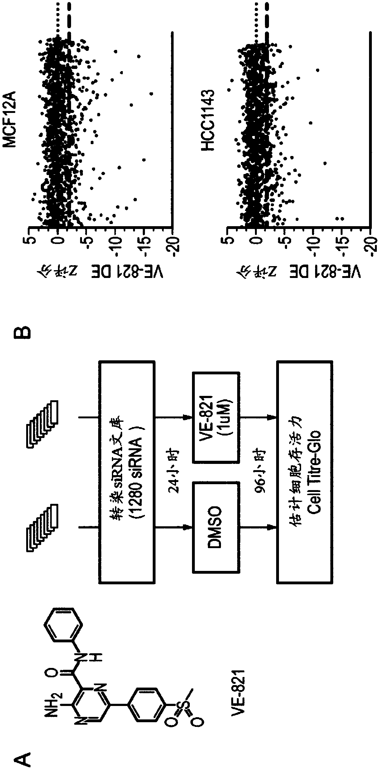 Inhibitors of ataxia-telangiectasia mutated and rad3-related protein kinase (ATR) for use in methods of treating cancer