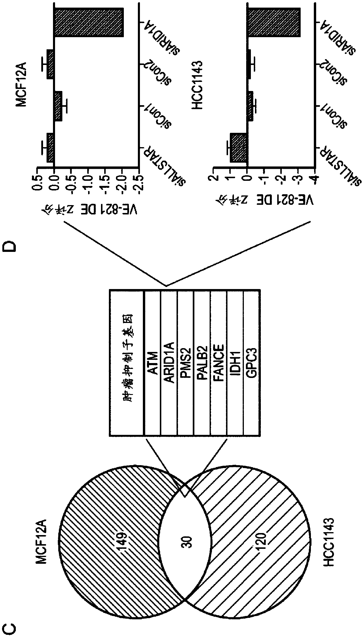 Inhibitors of ataxia-telangiectasia mutated and rad3-related protein kinase (ATR) for use in methods of treating cancer