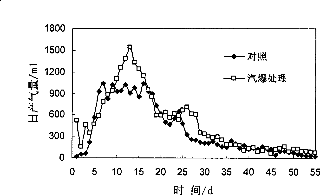 Method for preparing marsh gas by fermenting steam-exploded wood fiber straws