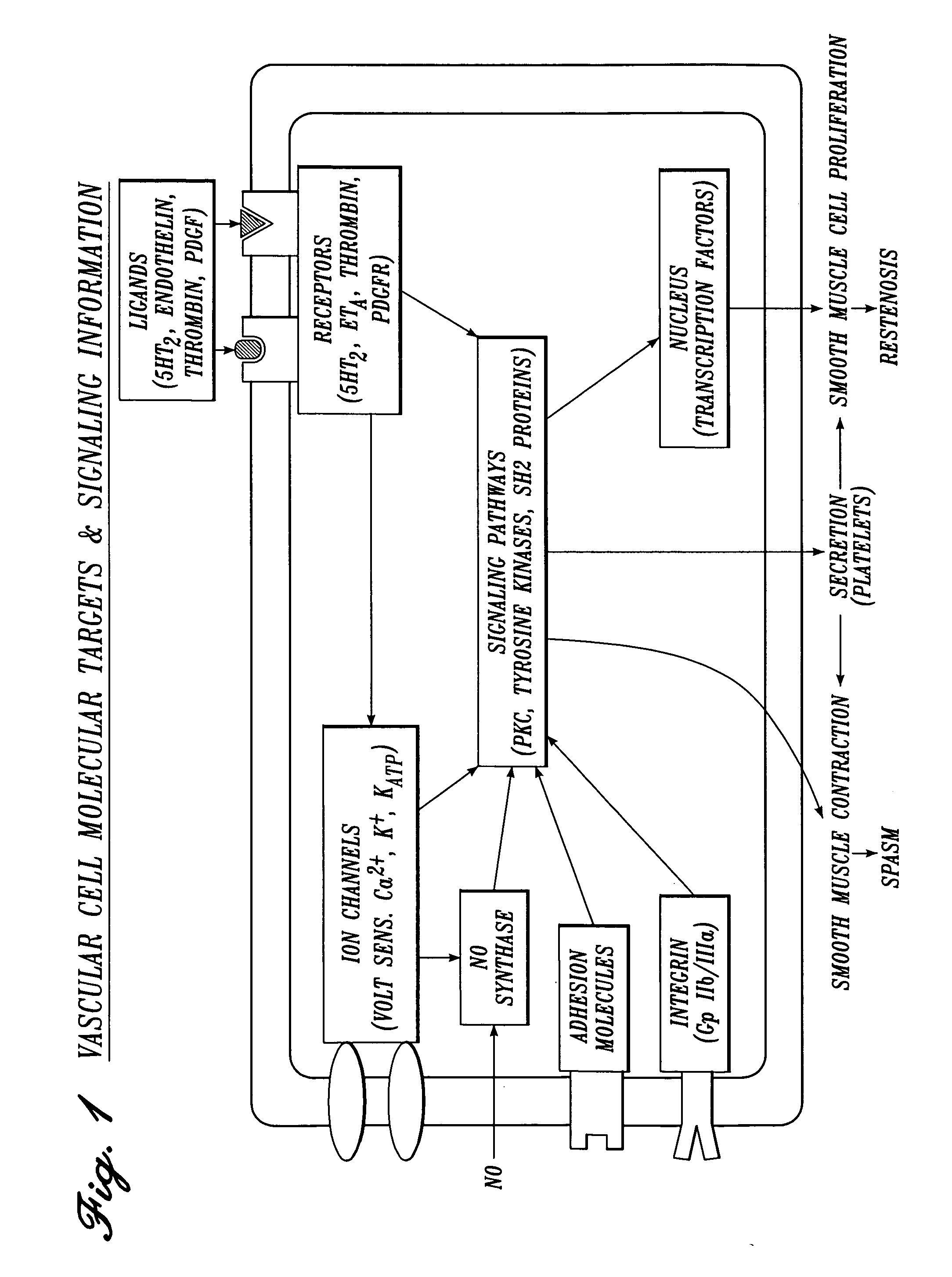 Irrigation solution and method for inhibition of pain and inflammation