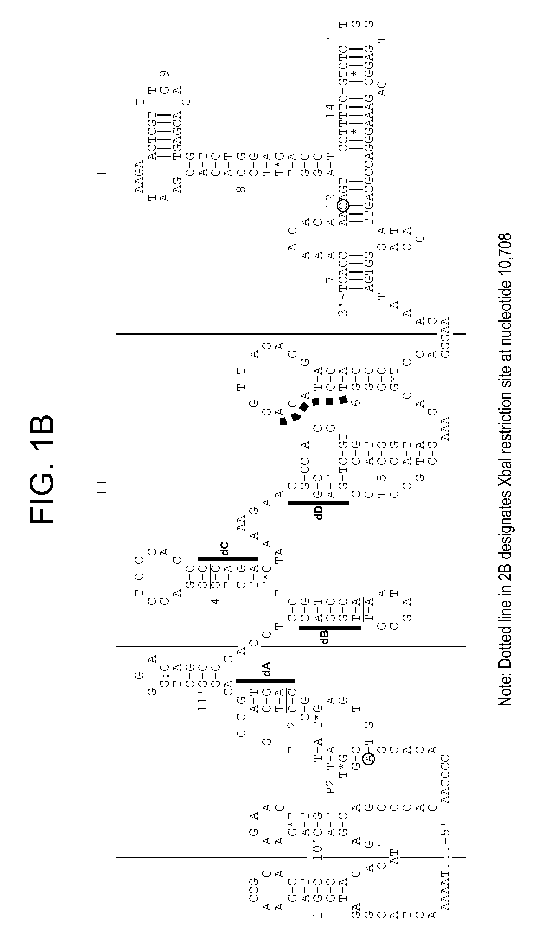 Vaccines against Japanese encephalitis virus and West Nile virus