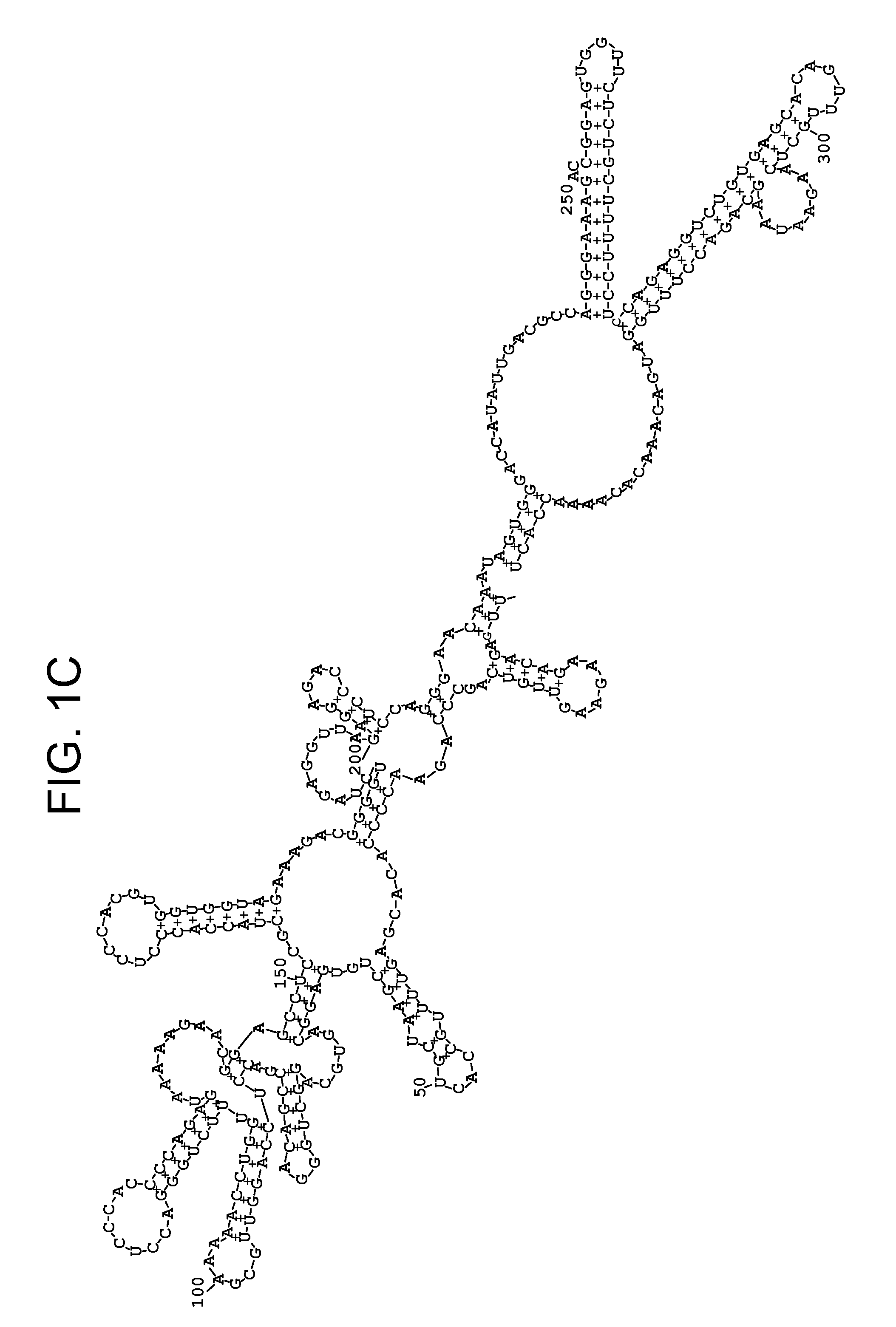 Vaccines against Japanese encephalitis virus and West Nile virus