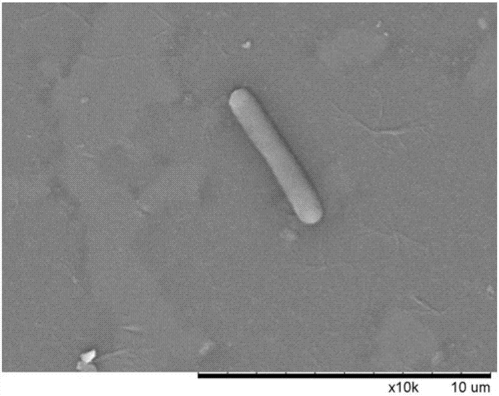 Lysinibacillus fusiformis for degrading dairy cow faeces sour matter and application of lysinibacillus sphaericus