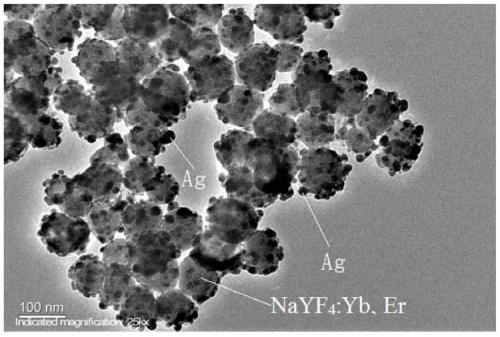 Preparation method and application of up-conversion material NaYF4:Yb,Er@M