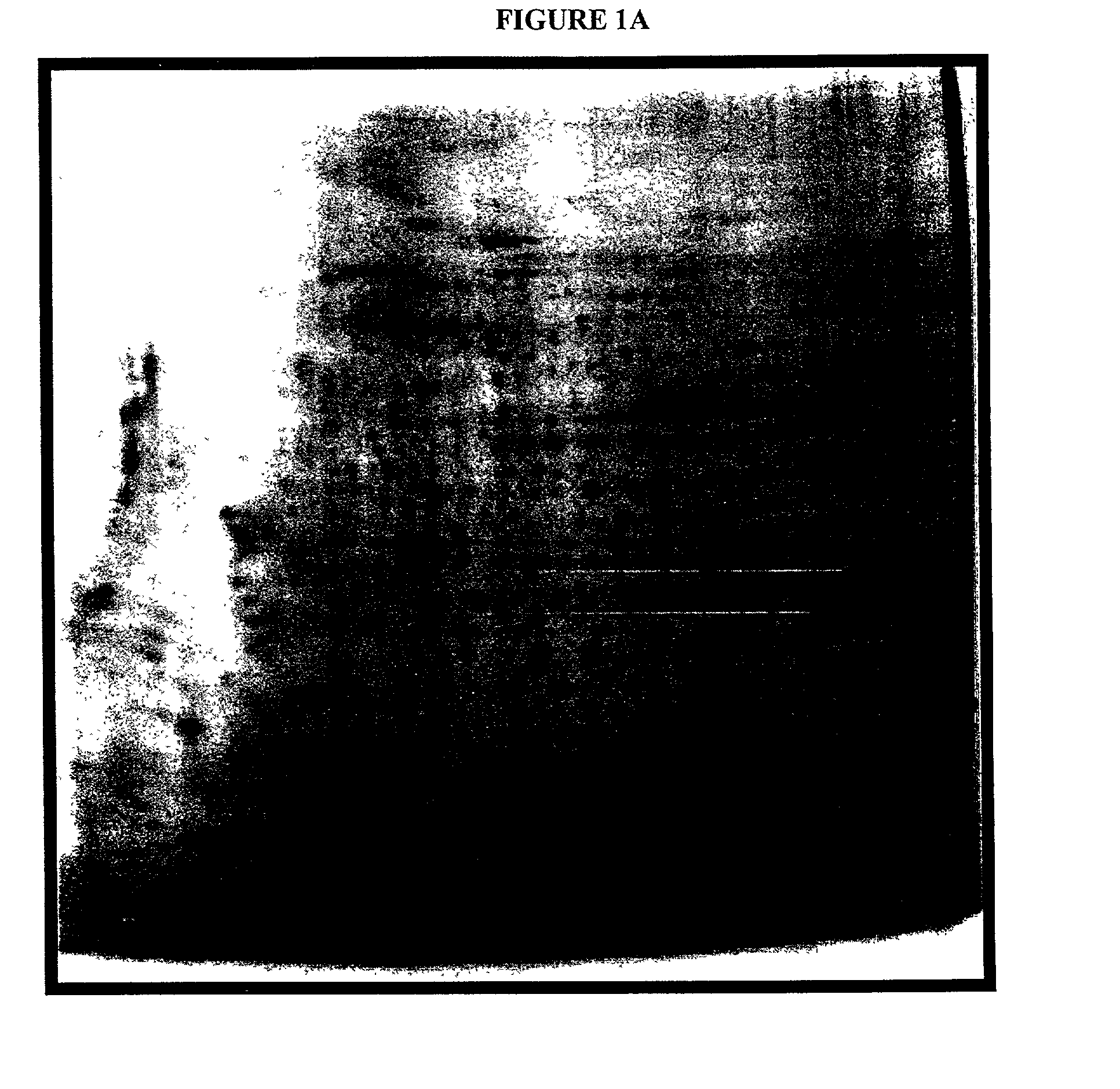 Systems and methods for the analysis of proteins