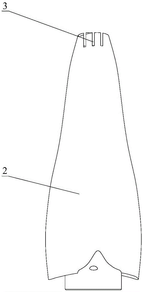 Reversible axial flow fan blade with air blowing grooves