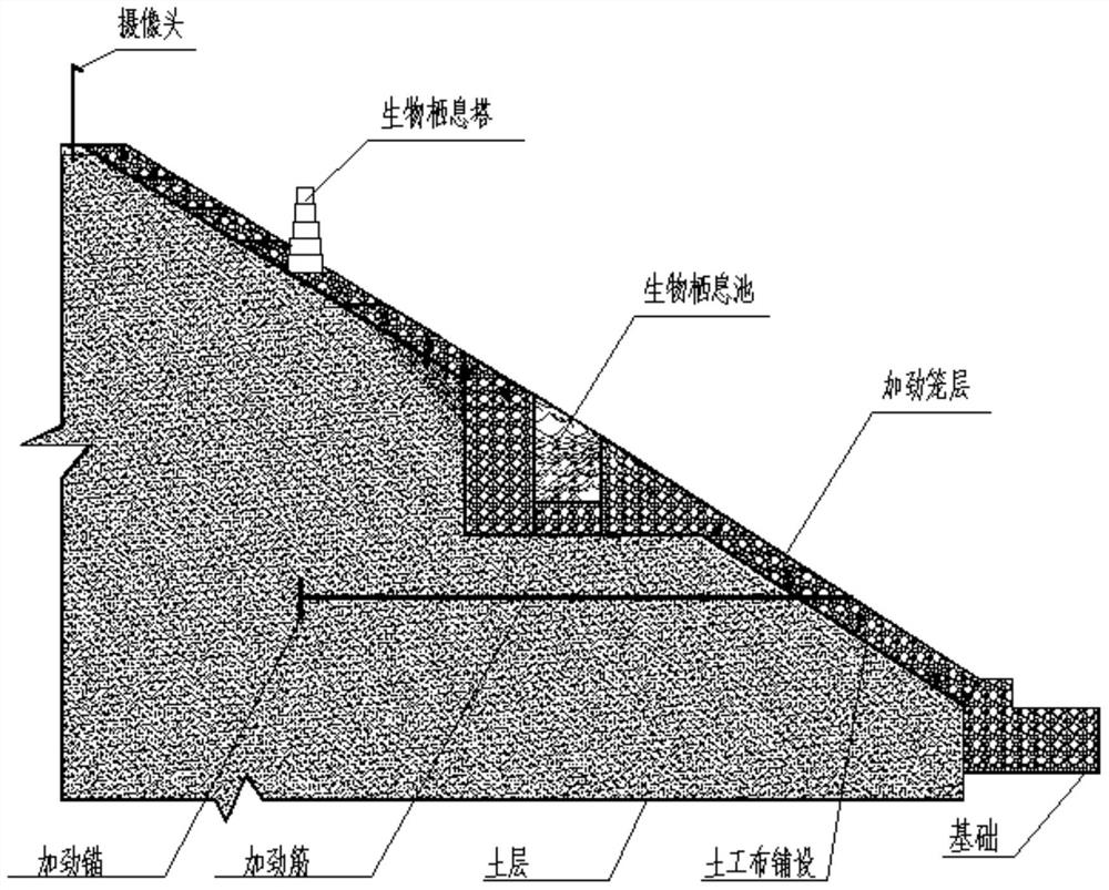 A method for restoration of biodiversity dynamic landscape ecological composite system