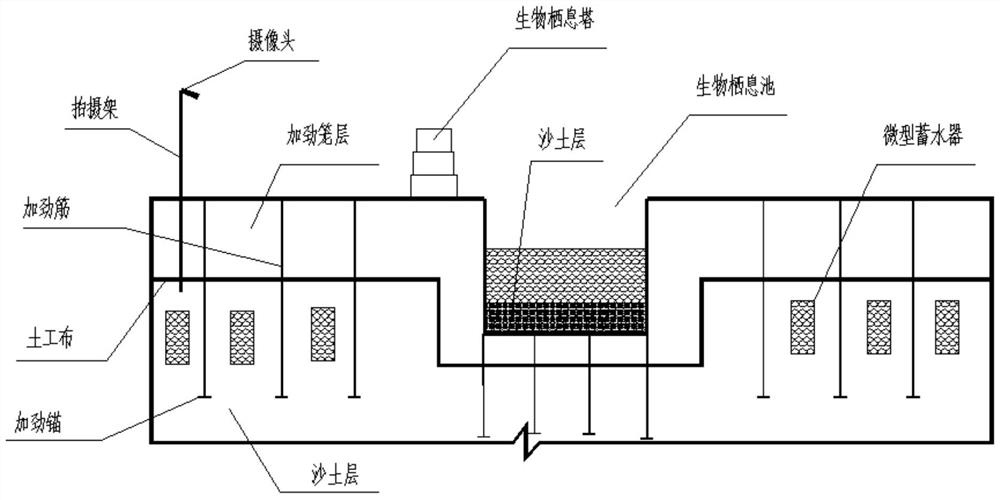 A method for restoration of biodiversity dynamic landscape ecological composite system