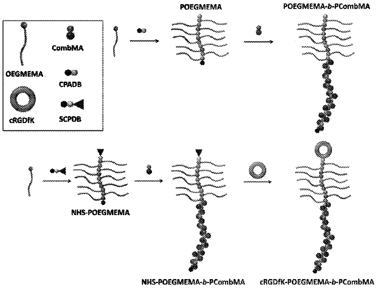 Self-assembled diblock copolymers composed of pegmema and drug bearing polymeric segments