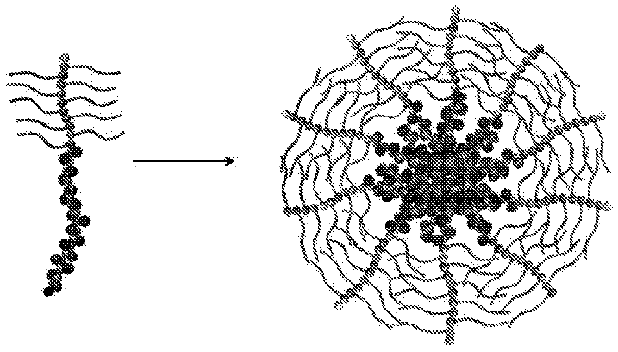 Self-assembled diblock copolymers composed of pegmema and drug bearing polymeric segments