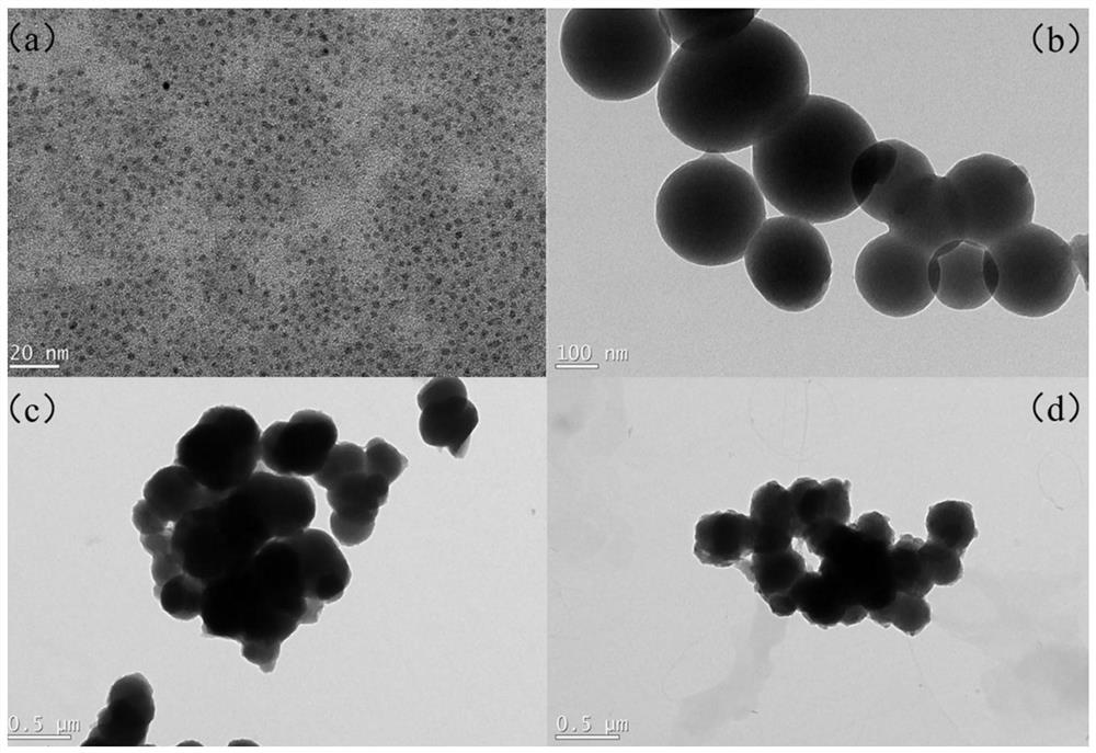 Fluorescent molecularly imprinted polymer based on glycopeptide, preparation method and application in glycoprotein screening and detection