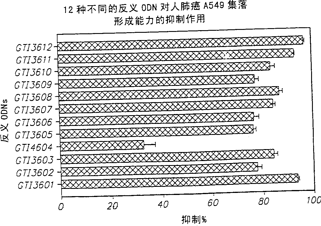 Neuropilin antisense oligonucleotide sequences and methods of using same to modulate cell growth