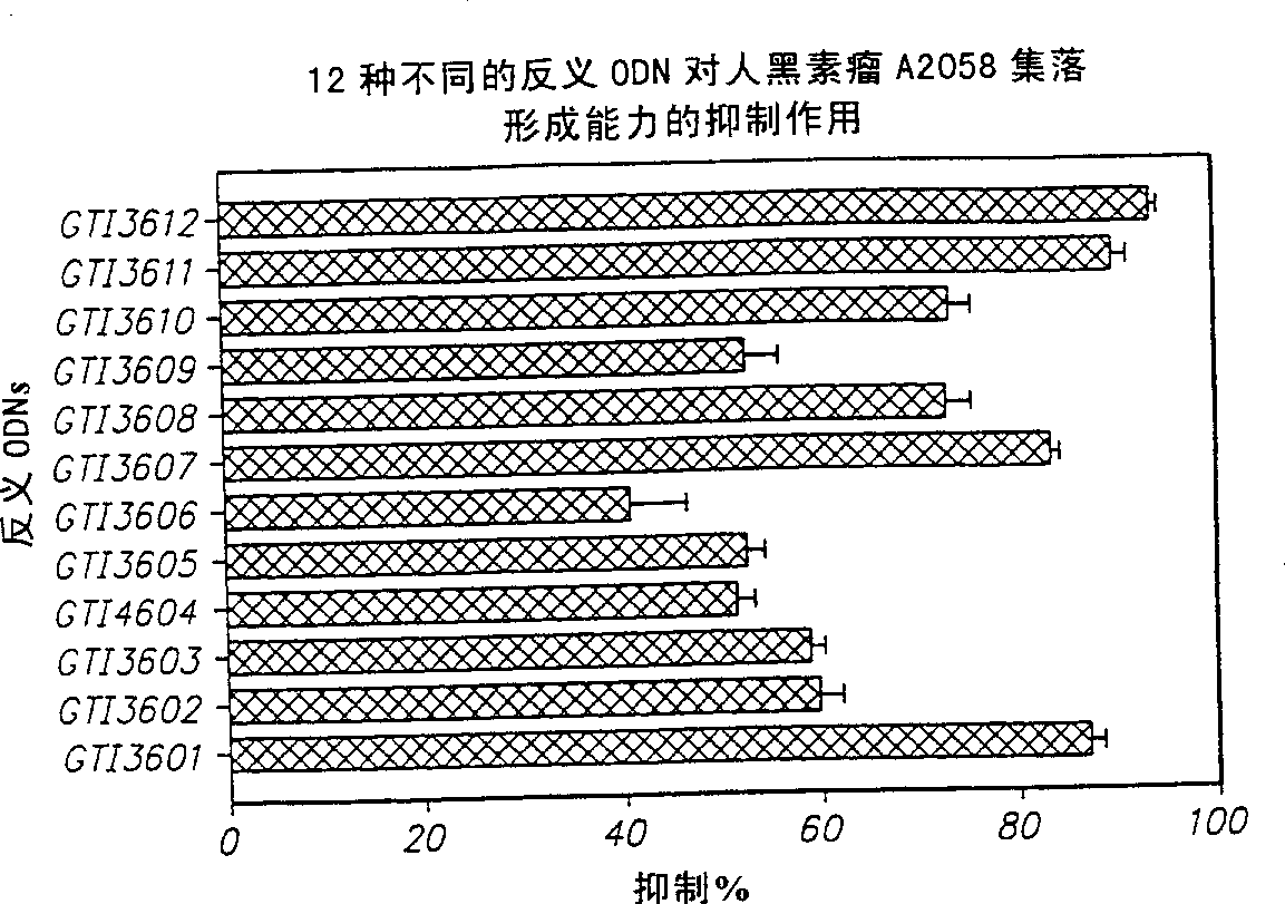 Neuropilin antisense oligonucleotide sequences and methods of using same to modulate cell growth