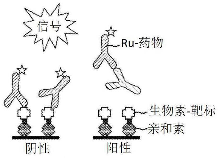 Improved competitive ligand binding assays