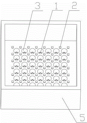 Lighting lamp and lighting optical module thereof