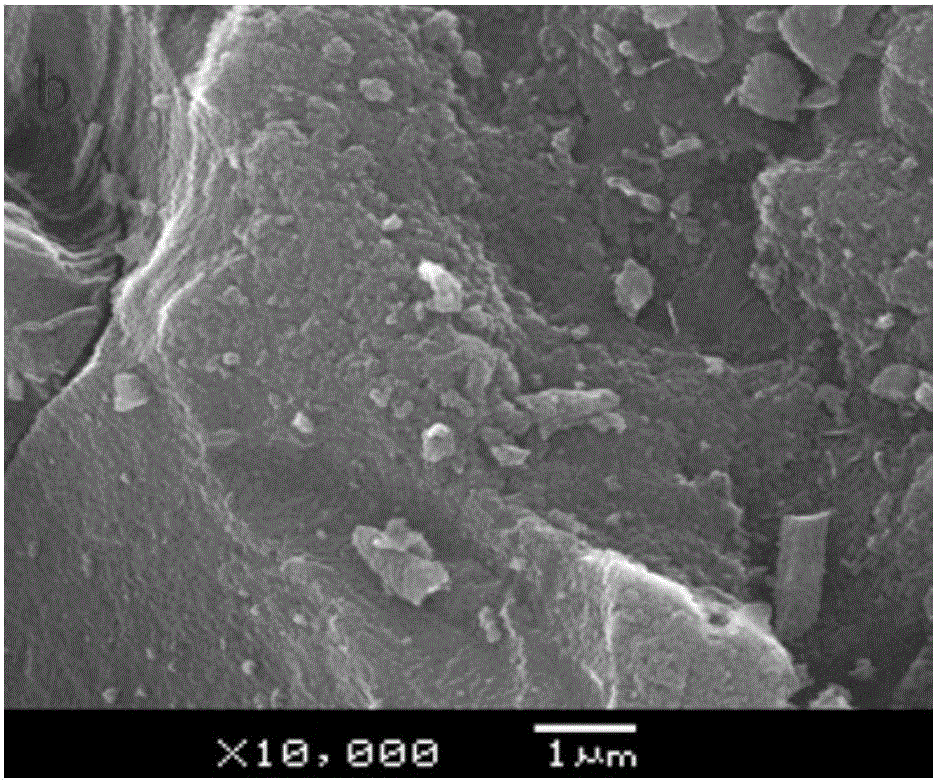 Green method for comprehensively utilizing biomass ash