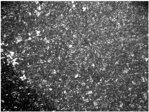 Micro-nano-TiC particle reinforced steel and preparation method thereof