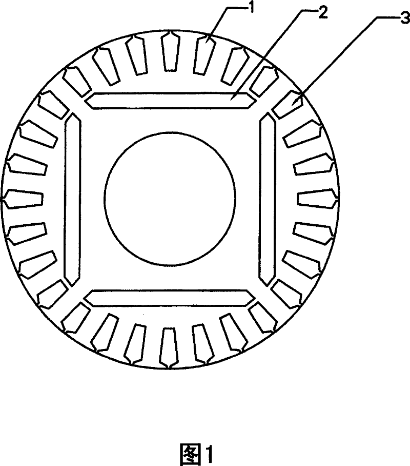 Rotor plate of highly effective permanent magnetism synchronous motor