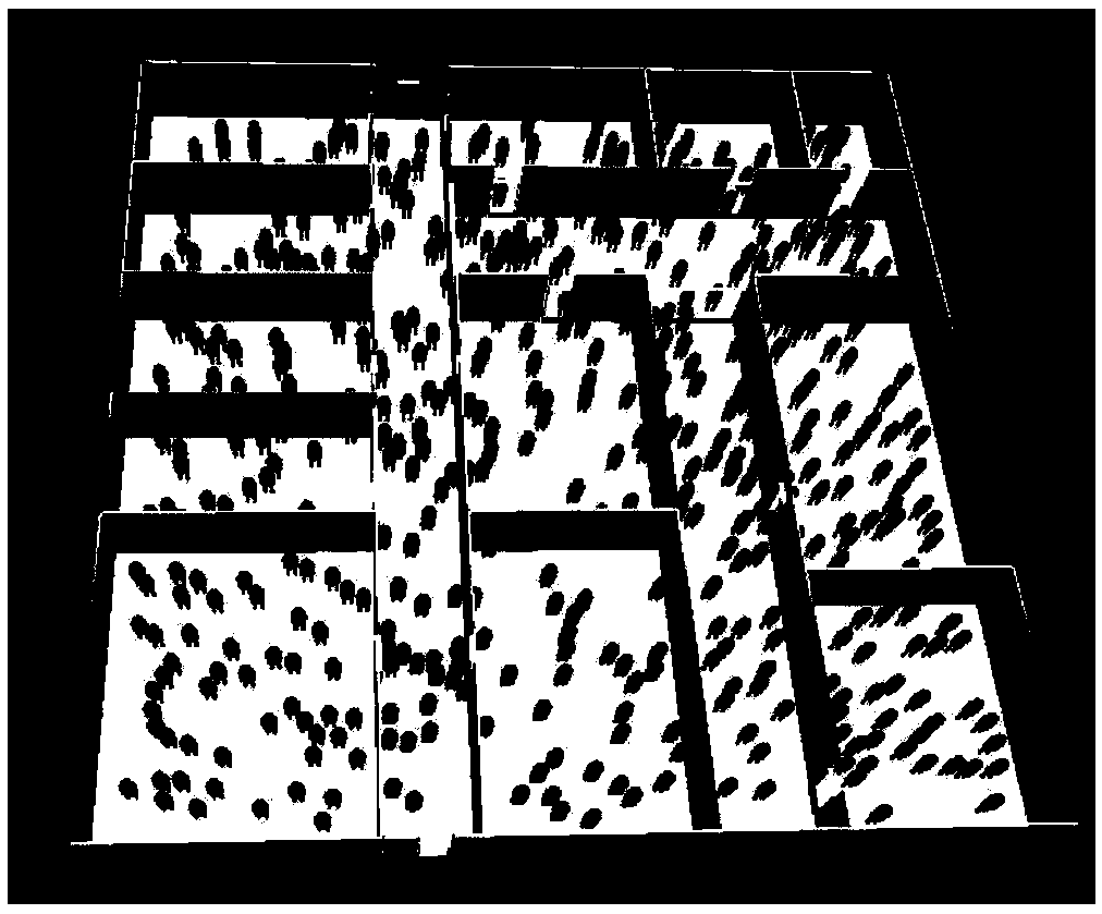 Tabu search bee colony algorithm based crowd evacuation simulating method and system