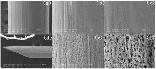 A single cell sampling device and sampling method based on a porous metal enrichment probe