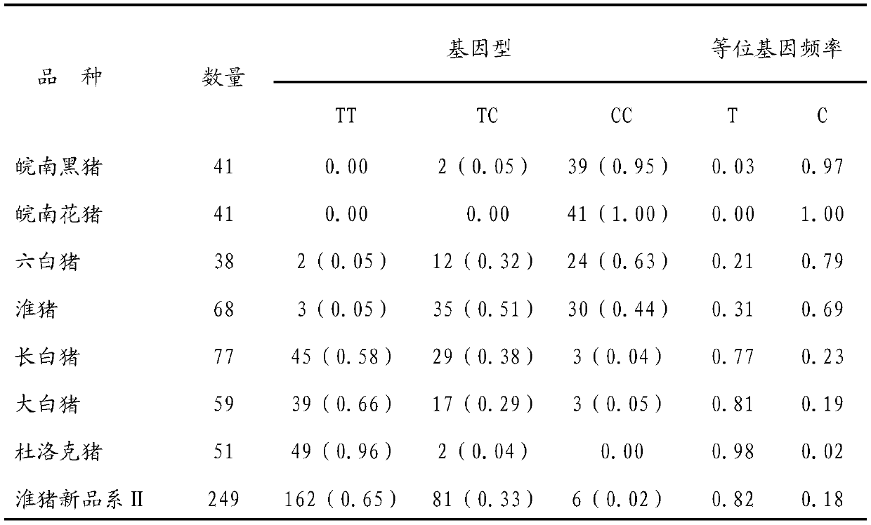 Pig 5-aminolevulinic acid synthase 1 gene as genetic marker of pig litter size traits and application thereof