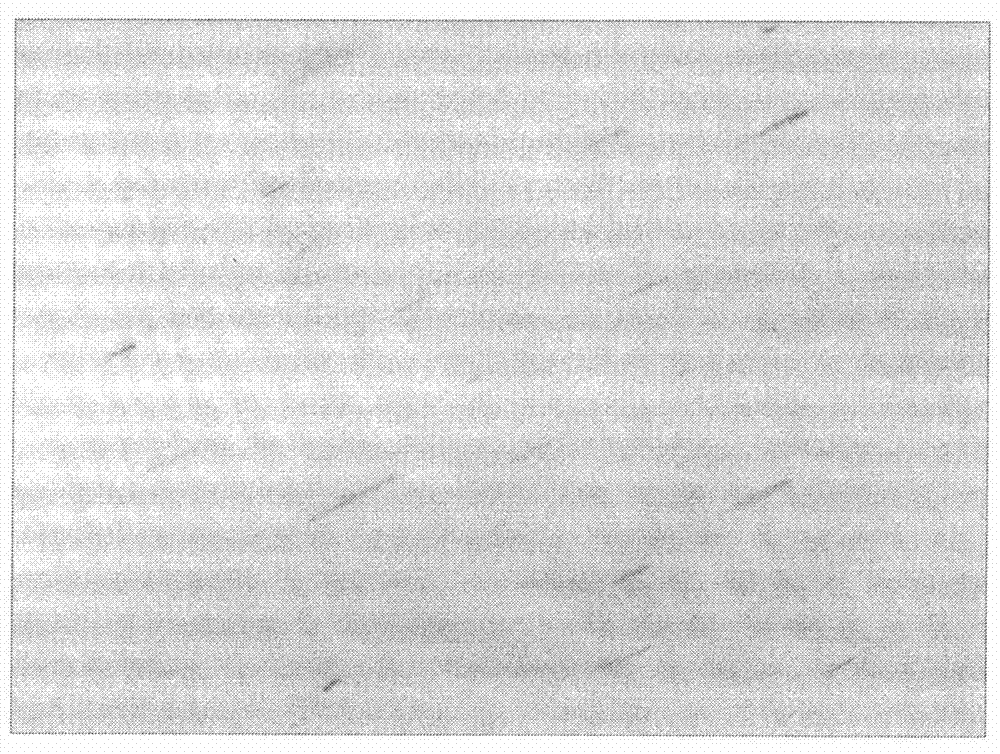 Method for dispersing nanowires based on epoxy resin drawing film