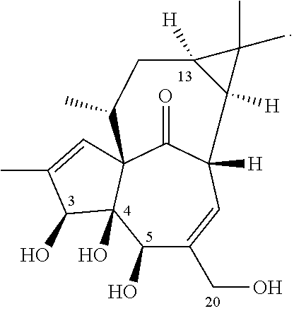 13-oxidized ingenol derivative and use thereof