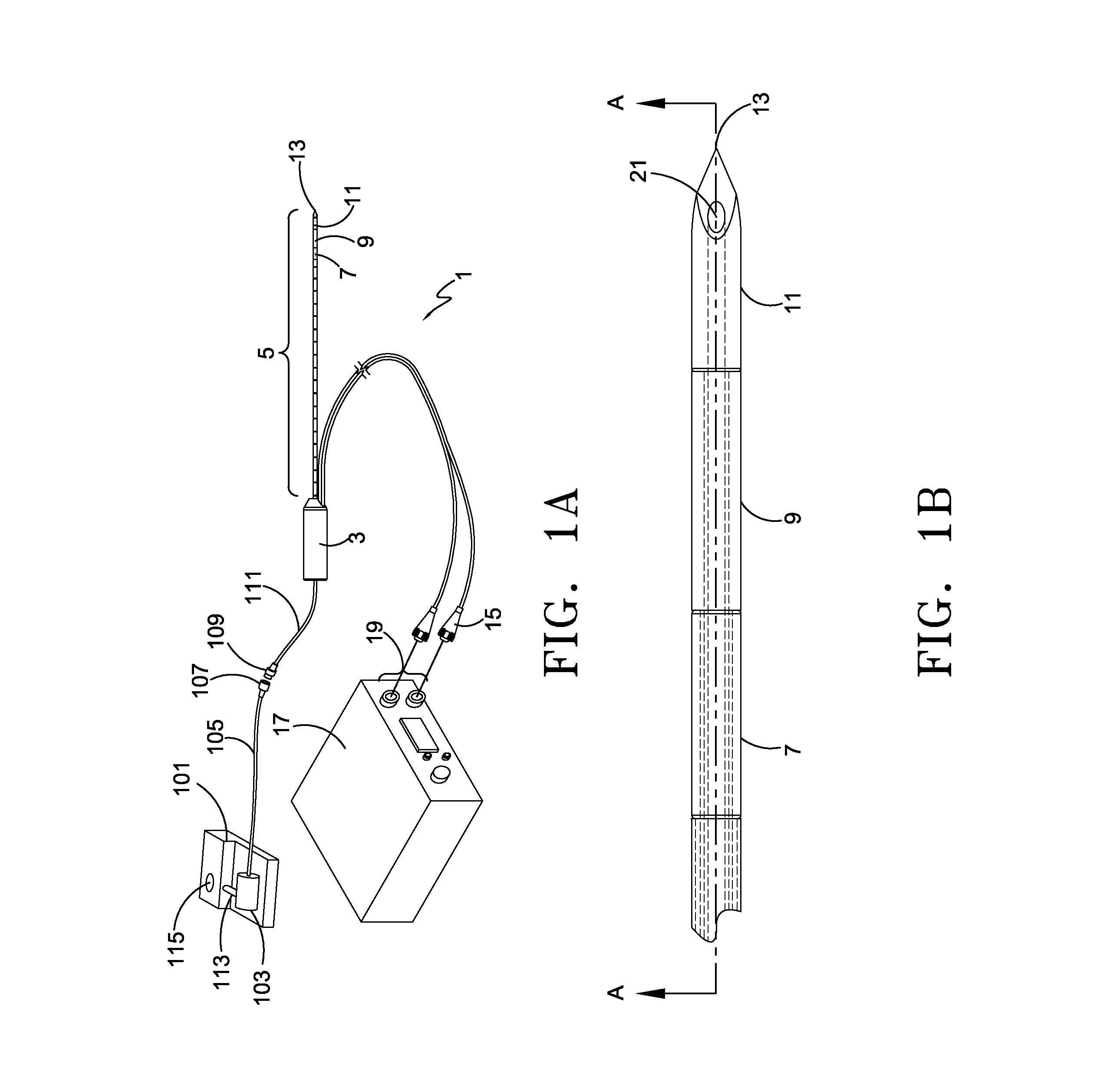 Irreversible electroporation and tissue regeneration