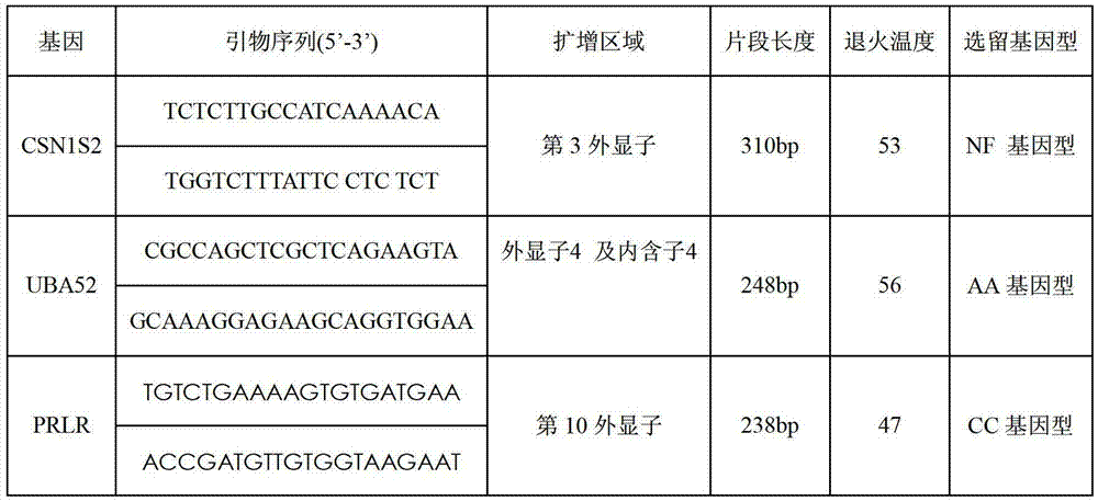 Selective breeding method for improving meat performance of black goats of Guizhou