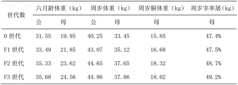 Selective breeding method for improving meat performance of black goats of Guizhou