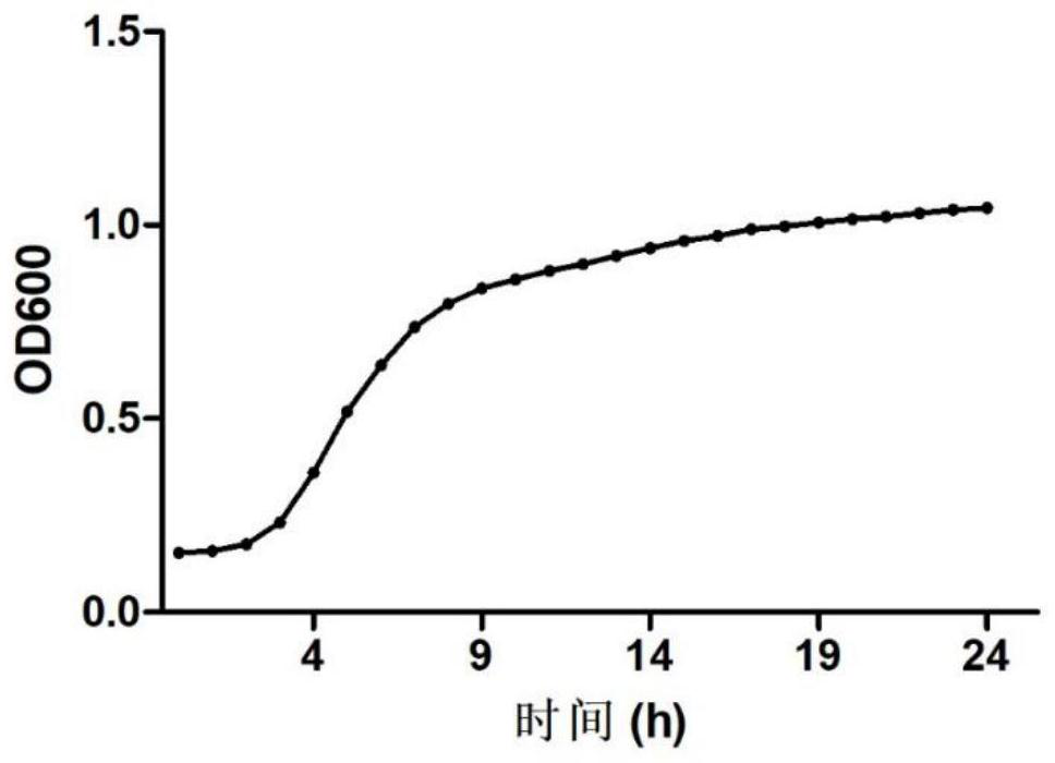 A Lactobacillus acidophilus producing exopolysaccharide with antitumor and hypoglycemic and lipid-lowering activities and its application