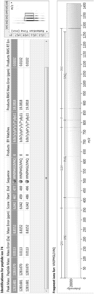 Biologically active polypeptide WNIPMGLIVNQ and preparation method and application thereof