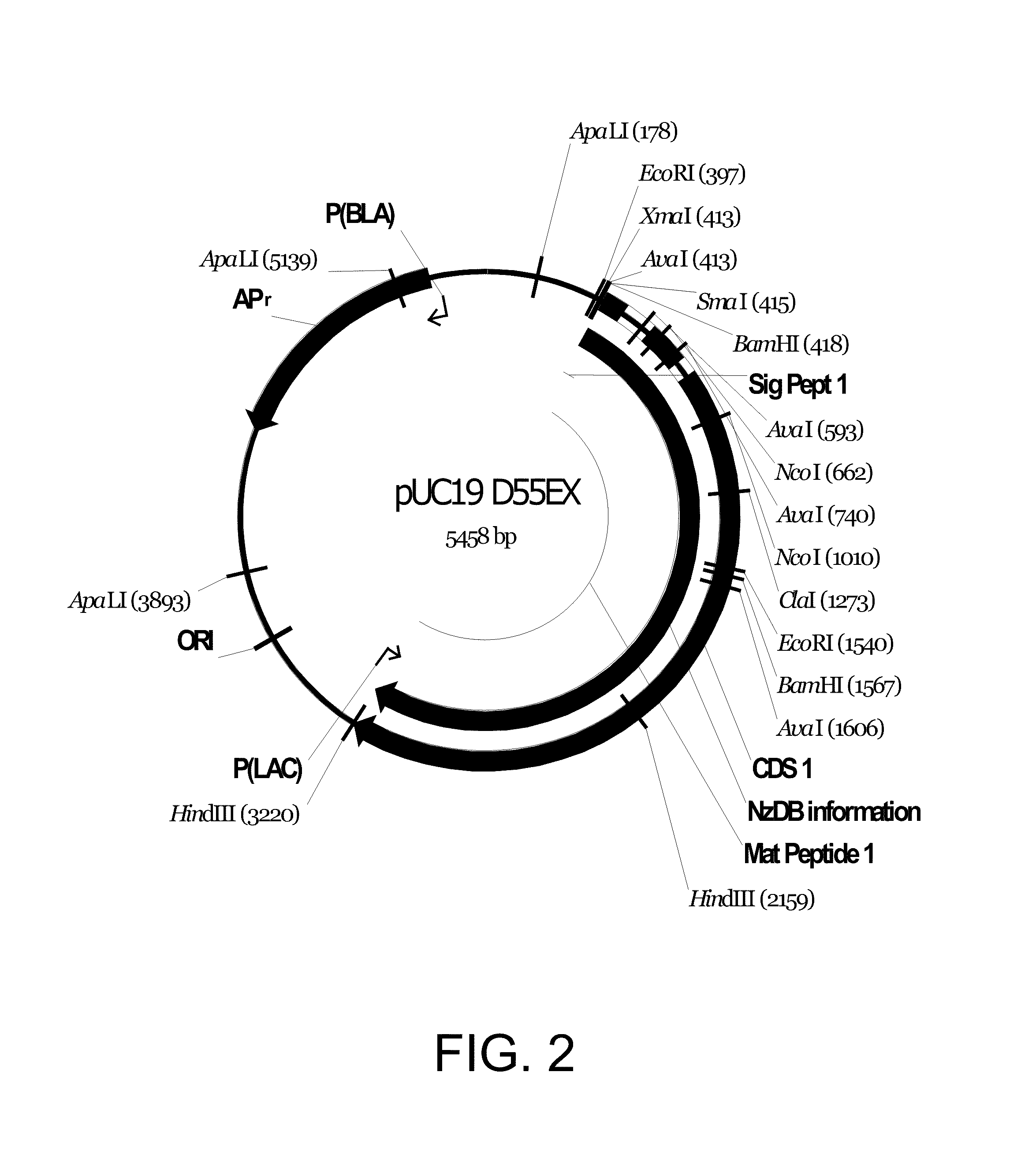 Polypeptides having beta-glucosidase activity and polynucleotides encoding same