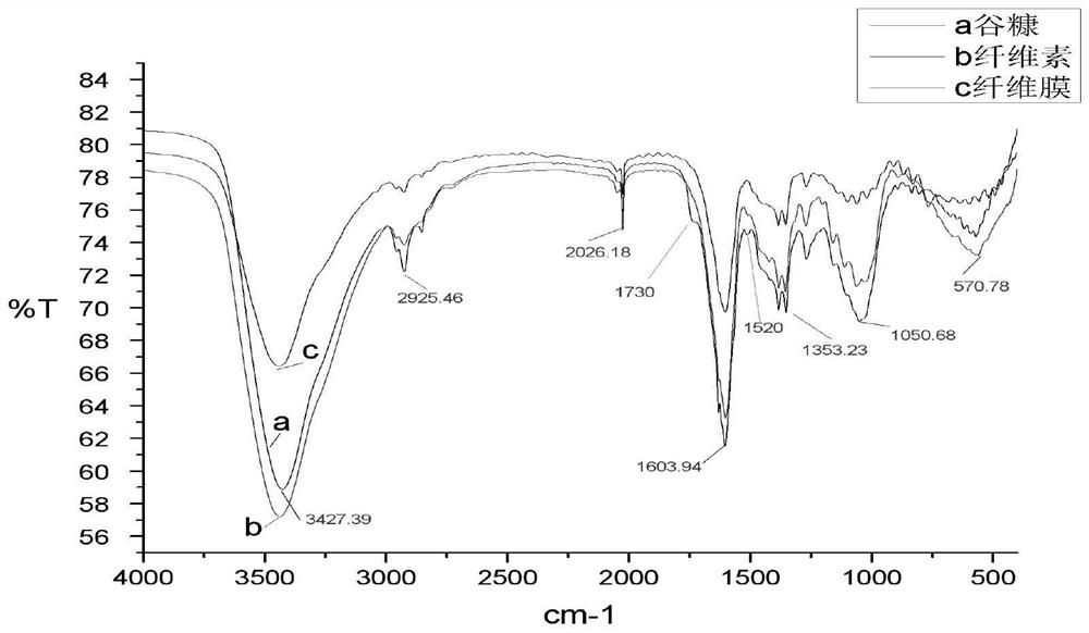 Extraction method of bran coat cellulose and preparation method of bran coat fiber membrane