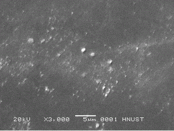 Method for preparing superhydrophobic and self-cleaning glass