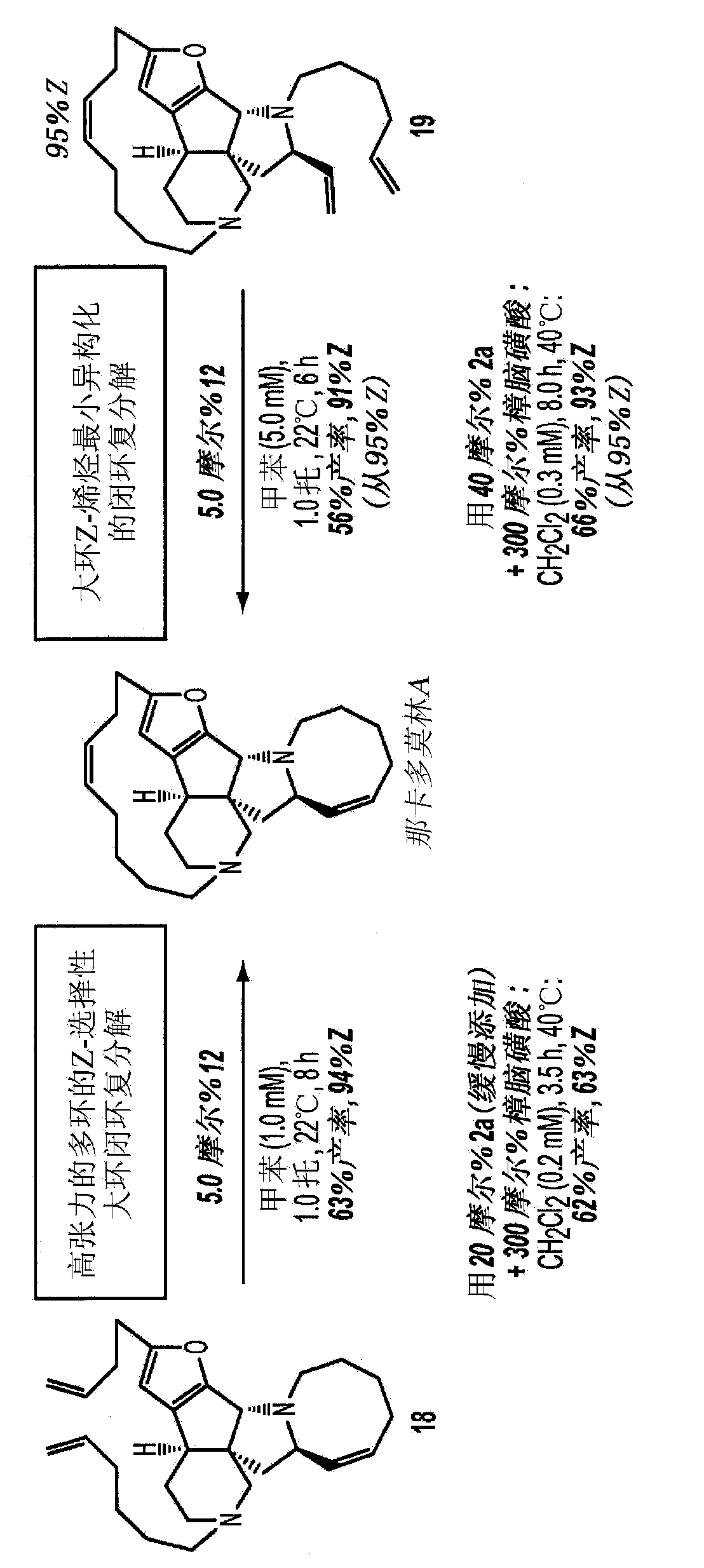 Z-selective ring-closing metathesis reactions