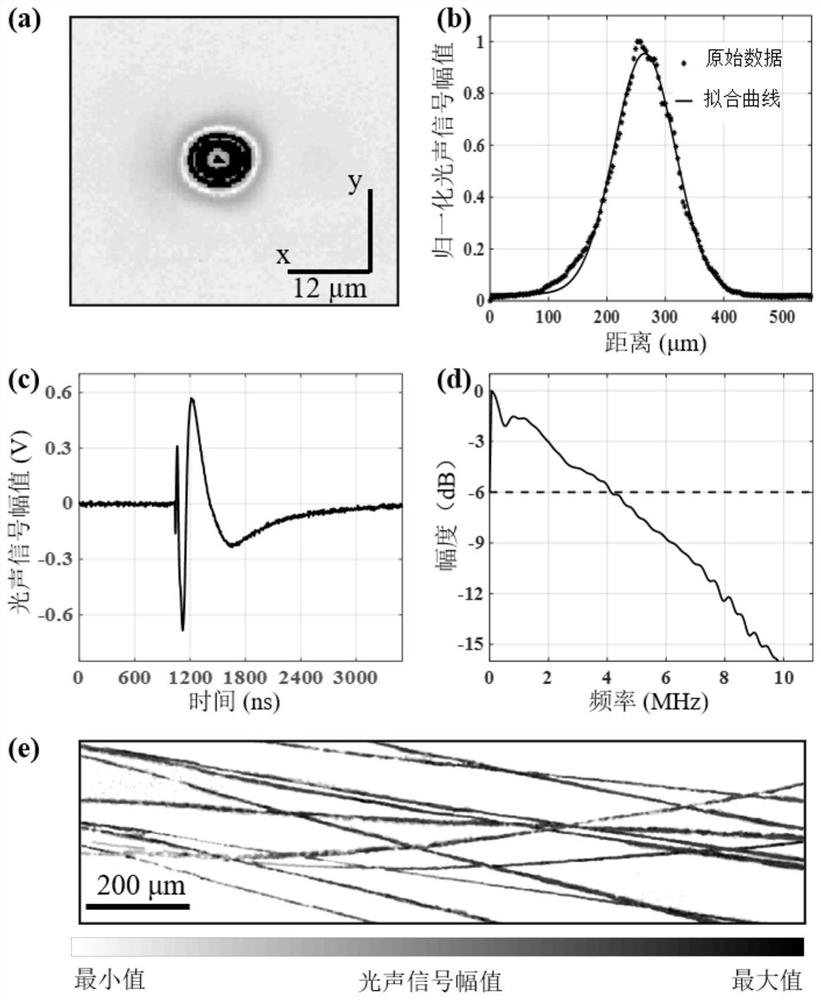 Non-contact miniature photoacoustic imaging head and imaging device thereof