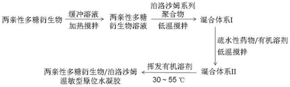 Amphipathic polysaccharide derivative/poloxamer thermo-sensitive type in-situ hydrogel and preparation method thereof