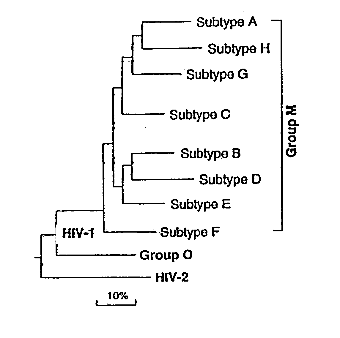 Method for the development of an HIV vaccine