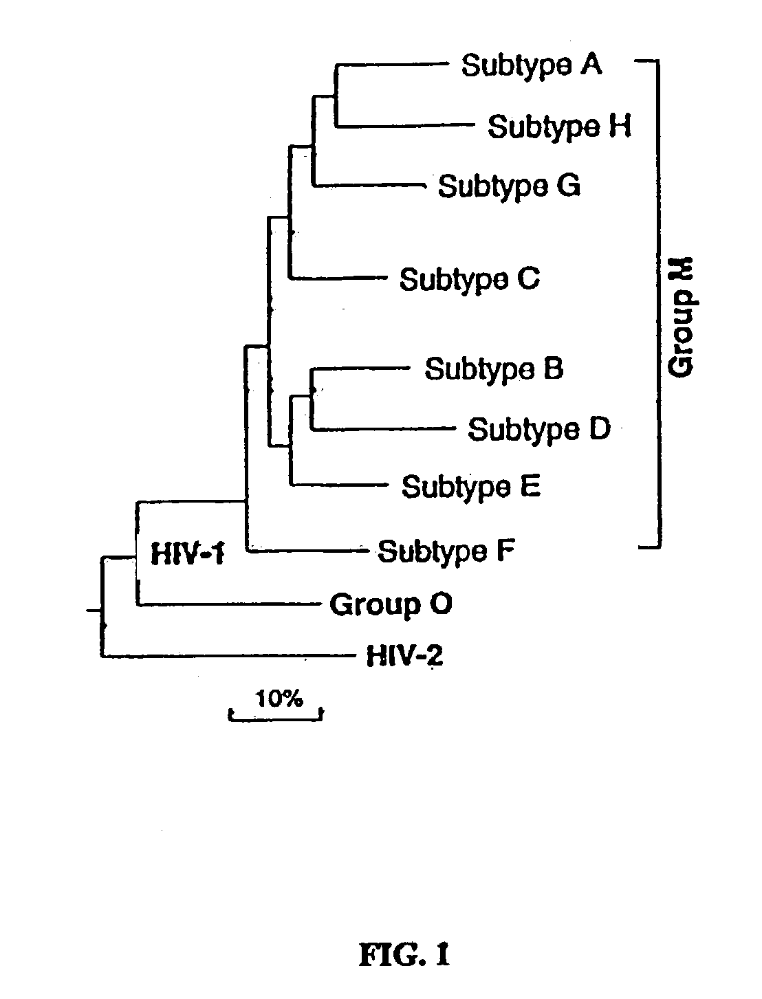 Method for the development of an HIV vaccine