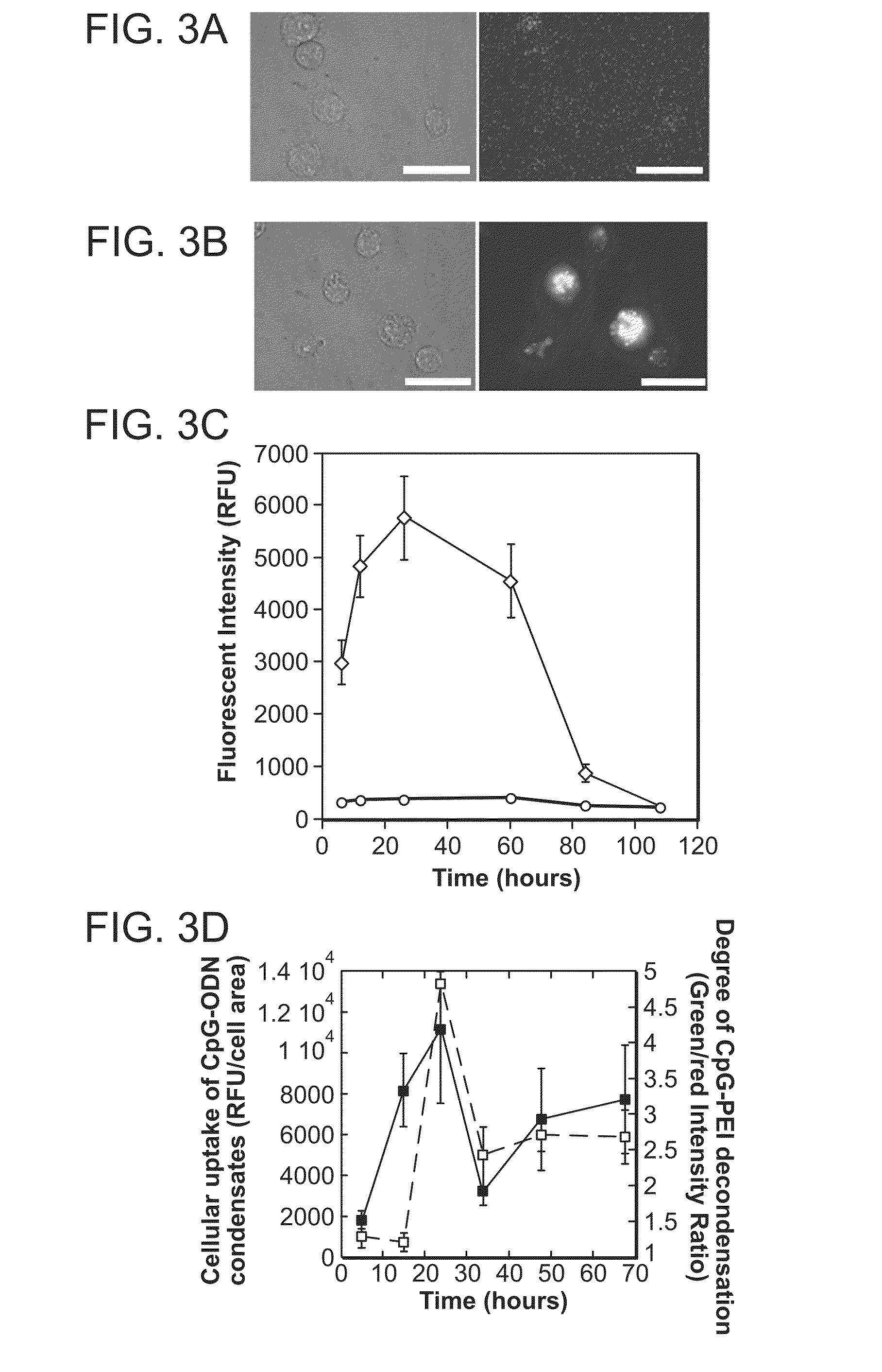 Controlled delivery of TLR agonists in structural polymeric devices