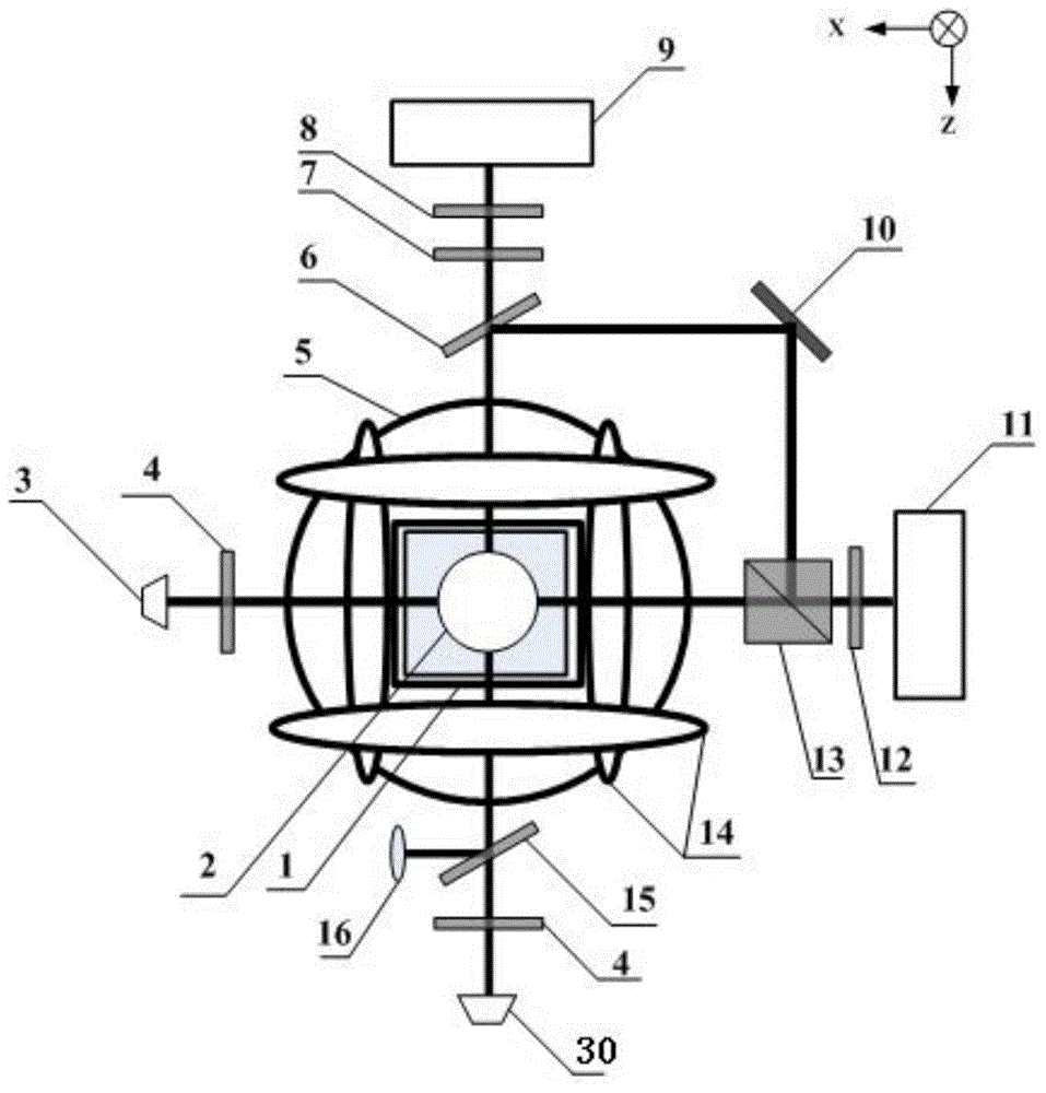 Light shift elimination method for SERF atomic spin magnetometers